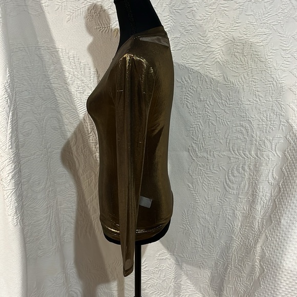 Porridge clothing gold shimmer‎ sheer top, size XXS, NWT - Picture 7 of 14